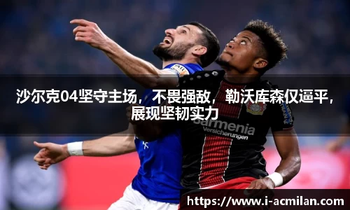 米兰体育下载